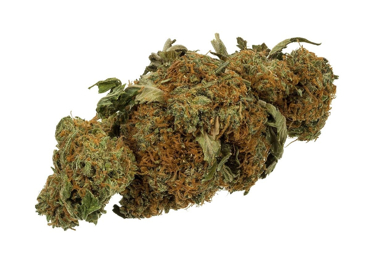 Cannabis club hamburg | Vertrauen & Transparenz