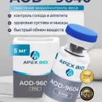 WhatsApp Image 2026-01-08 at 6.41.16 PM