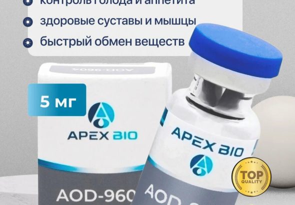 WhatsApp Image 2026-01-08 at 6.41.16 PM